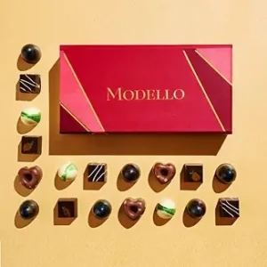 Chocolatier’s Premium Box of 6 Piece
